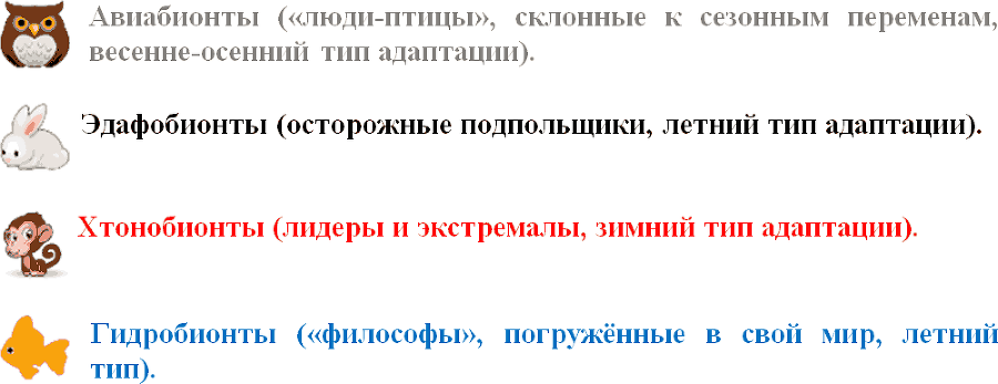 Кто ты? Плавающий, летающий или… сидящий в норе? Книга 1: Цвет твоих мыслей - _17.png