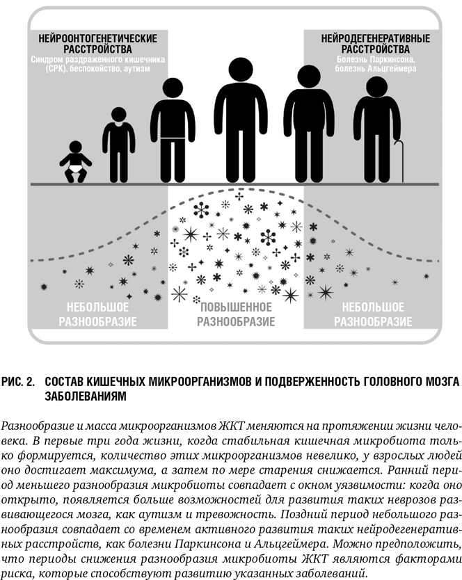 Второй мозг: Как микробы в кишечнике управляют нашим настроением, решениями и здоровьем - i_003.png