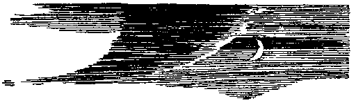 Талисман (сборник) - pic_13.png