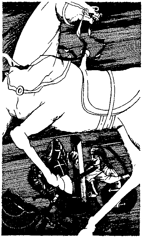 Талисман (сборник) - pic_7.png