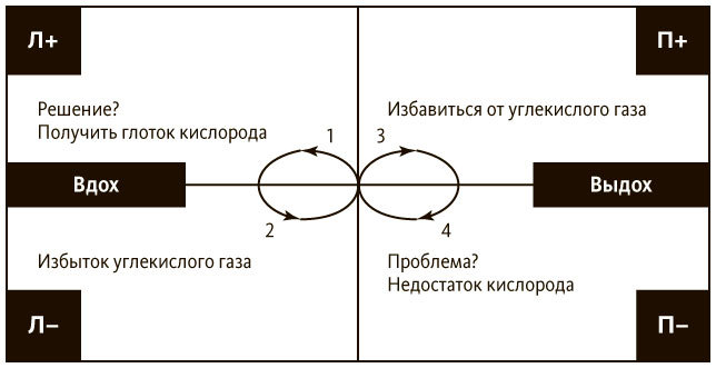 Управление полярностями. Как решать нерешаемые проблемы - i_013.jpg