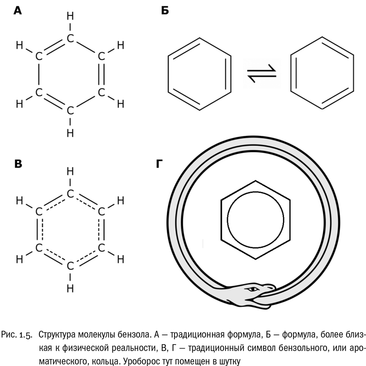 От атомов к древу: Введение в современную науку о жизни - i_007.png