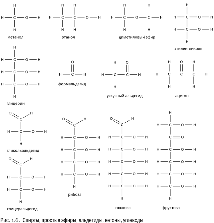 От атомов к древу: Введение в современную науку о жизни - i_008.png