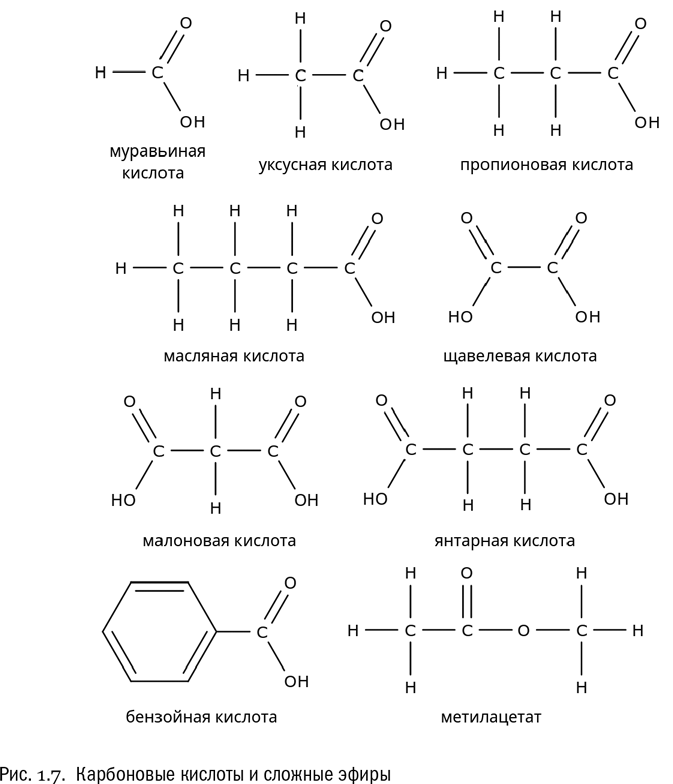 От атомов к древу: Введение в современную науку о жизни - i_009.png