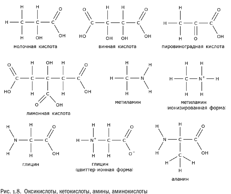 От атомов к древу: Введение в современную науку о жизни - i_010.png