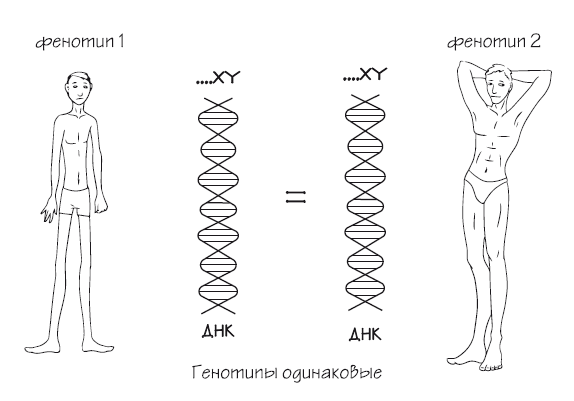 Как химичит наш организм: принципы правильного питания - i_001.png