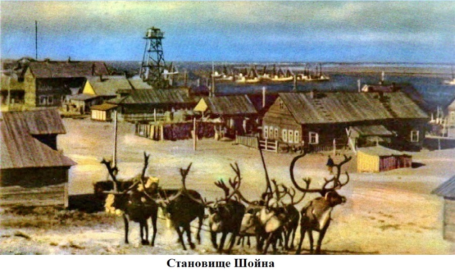 Шойна 1941 – 1945 годы - _1.jpg
