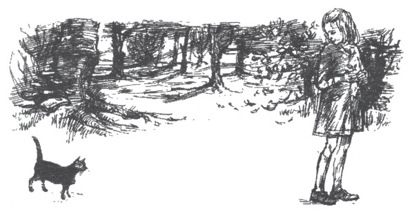 Мэри и ведьмин цветок - i_004.jpg