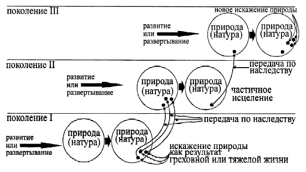 «Философия зоологии» Жана Батиста Ламарка: взгляд из XXI века - i_002.png