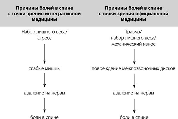 Держите спину прямо. Как забота о позвоночнике может изменить вашу жизнь - _049.jpg