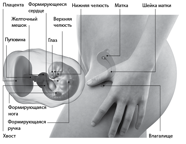 Я супермама - i_023.png