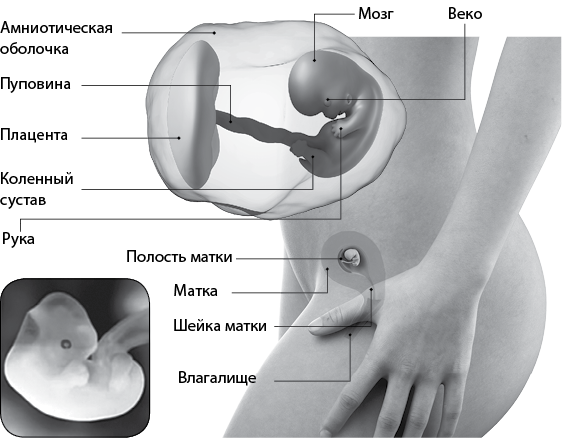 Я супермама - i_029.png