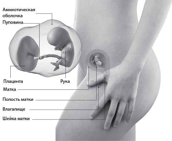 Я супермама - i_032.png