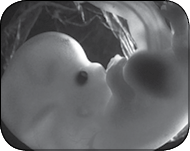 Я супермама - i_033.png