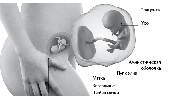 Я супермама - i_034.png