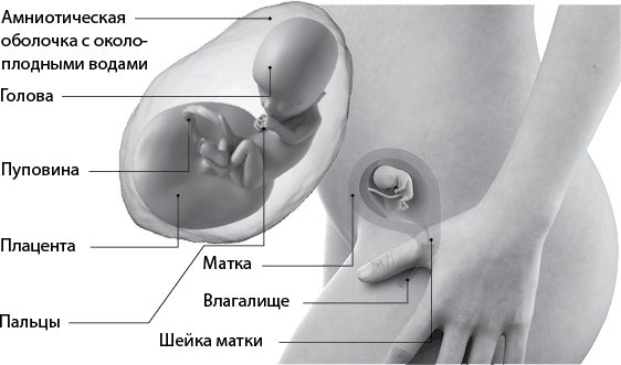 Я супермама - i_037.png