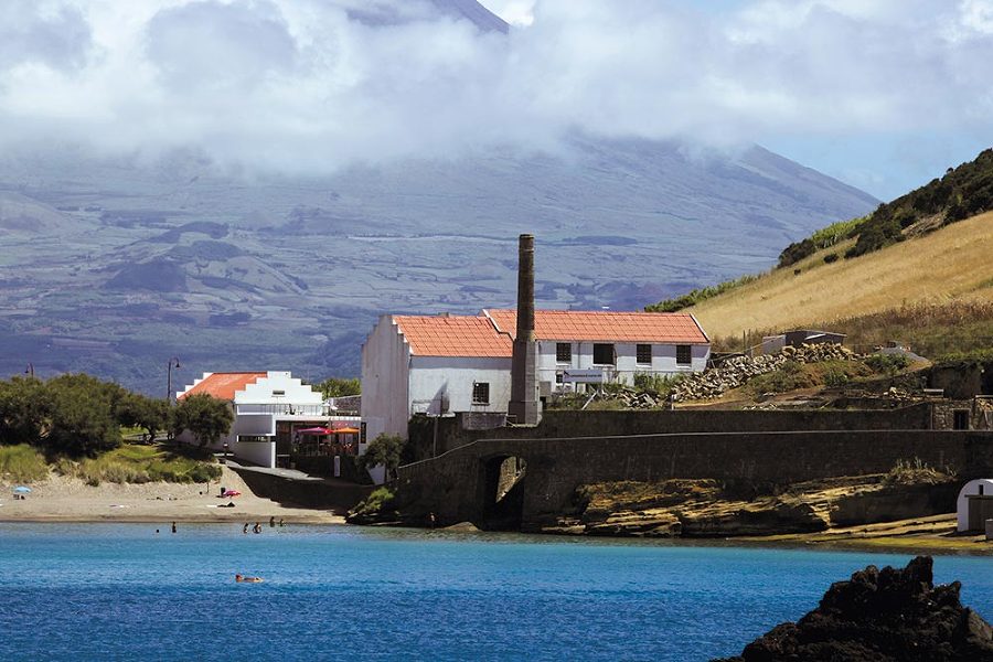 Принцип дельфина: жизнь верхом на волне - i_008.jpg