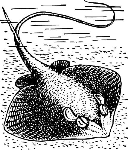 Тайна двух океанов. Лучшая классика с комментариями для школьников - i_023.png