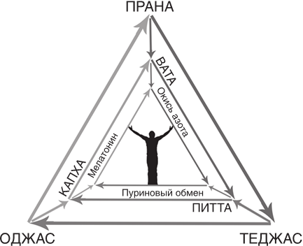 Аюрведа. Секреты здоровой кожи - i_006.png