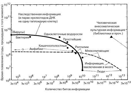 Эволюция мозга. Драконы Эдема - i_007.jpg