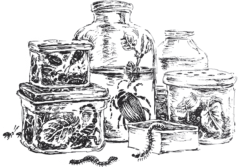 Золото скифов - i_021.png