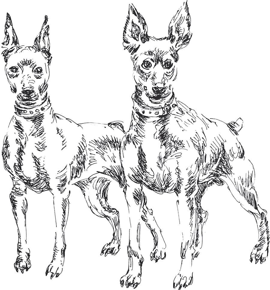 Золото скифов - i_022.png