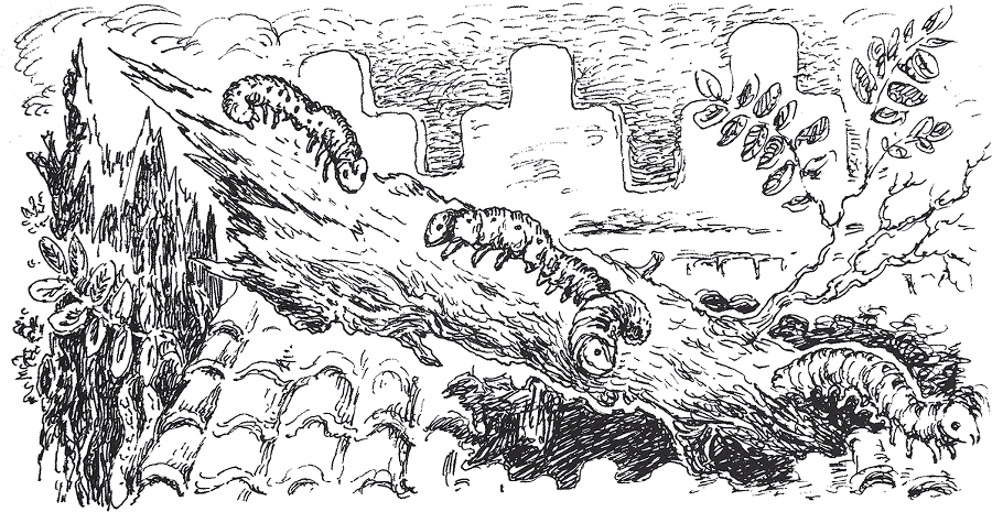 Золото скифов - i_031.png