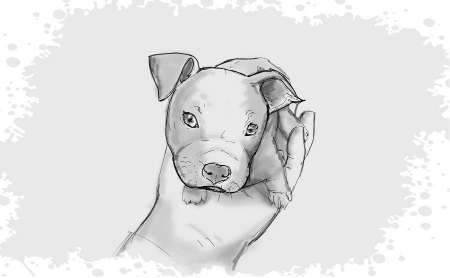 Гномка в помощь, или Ося из Ллося - i_065.jpg