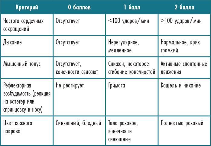 Первый год. Самое главное об уходе за младенцем - i_004.jpg