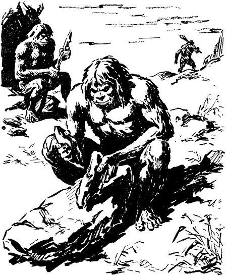 Когда человека не было - _0237450na547.png