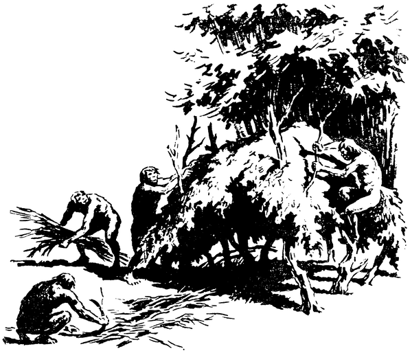 Когда человека не было - _0254600na514.png