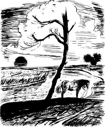 Закат в крови<br />(Роман) - i_006.jpg