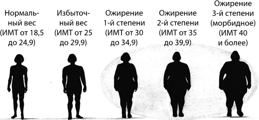 Гормоны, гены, аппетит. Как победить лишний вес с пользой для здоровья - i_004.png