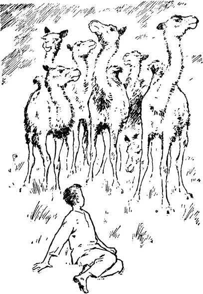 Морские истории - i_003.jpg