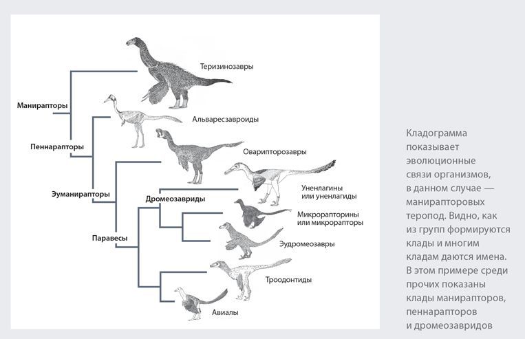 Динозавры. 150 000 000 лет господства на Земле - i_007.jpg