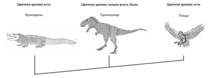 Динозавры. 150 000 000 лет господства на Земле - i_016.jpg