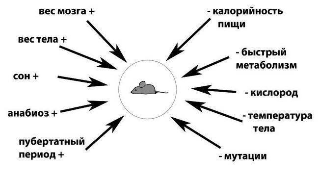 Гравитация мыслей (сборник) - i_002.jpg