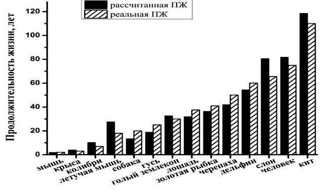 Гравитация мыслей (сборник) - i_003.jpg