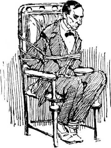 Синее привидение(Преступления Серебряного века. Том I) - i_018.jpg