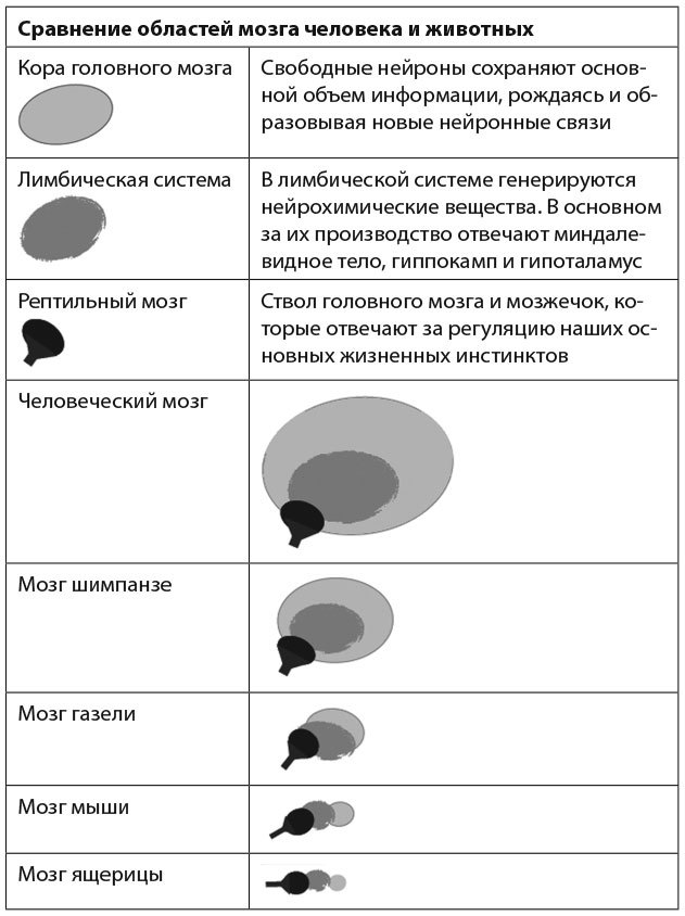 Гормоны счастья. Как приучить мозг вырабатывать серотонин, дофамин, эндорфин и окситоцин - i_001.jpg