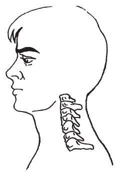 Позвоночник и долголетие: Научитесь жить без боли в спине - i_006.png