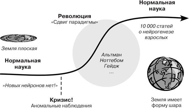 Революция в голове. Как новые нервные клетки омолаживают мозг - i_007.jpg