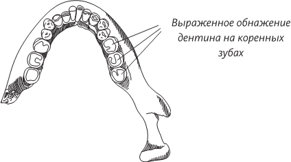 Невероятная случайность бытия. Эволюция и рождение человека - i_031.png