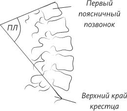 Невероятная случайность бытия. Эволюция и рождение человека - i_055.png