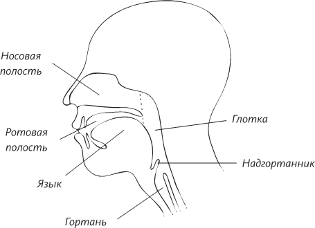 Невероятная случайность бытия. Эволюция и рождение человека - i_061.png