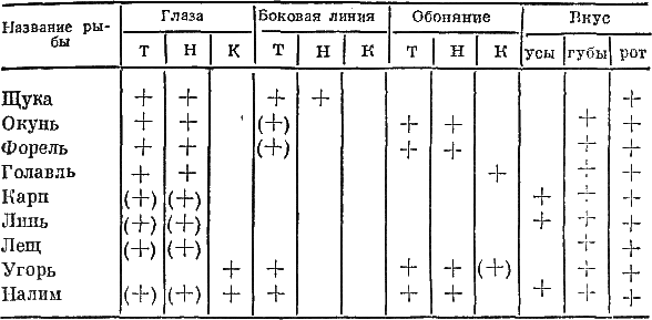 Секреты успеха (Записки рыболова) - i_002.png