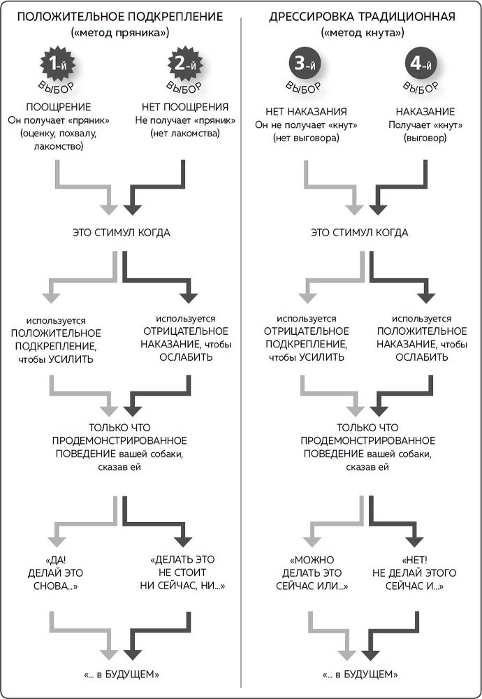 Дрессировка без наказания. Пять недель, которые сделают вашу собаку лучшей в мире - i_005.jpg