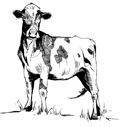 Секретная жизнь коров. Истории о животных, которые не так глупы, как нам кажется - i_002.jpg