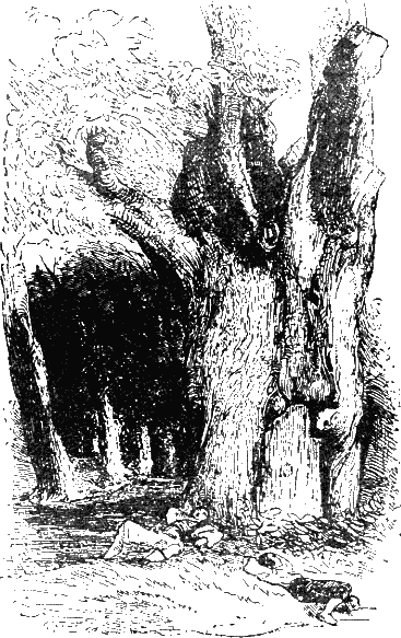 Похождения Жиль Бласа из Сантильяны - i_056.png