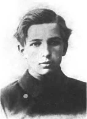 Русская армия между Троцким и Сталиным - i_034.jpg